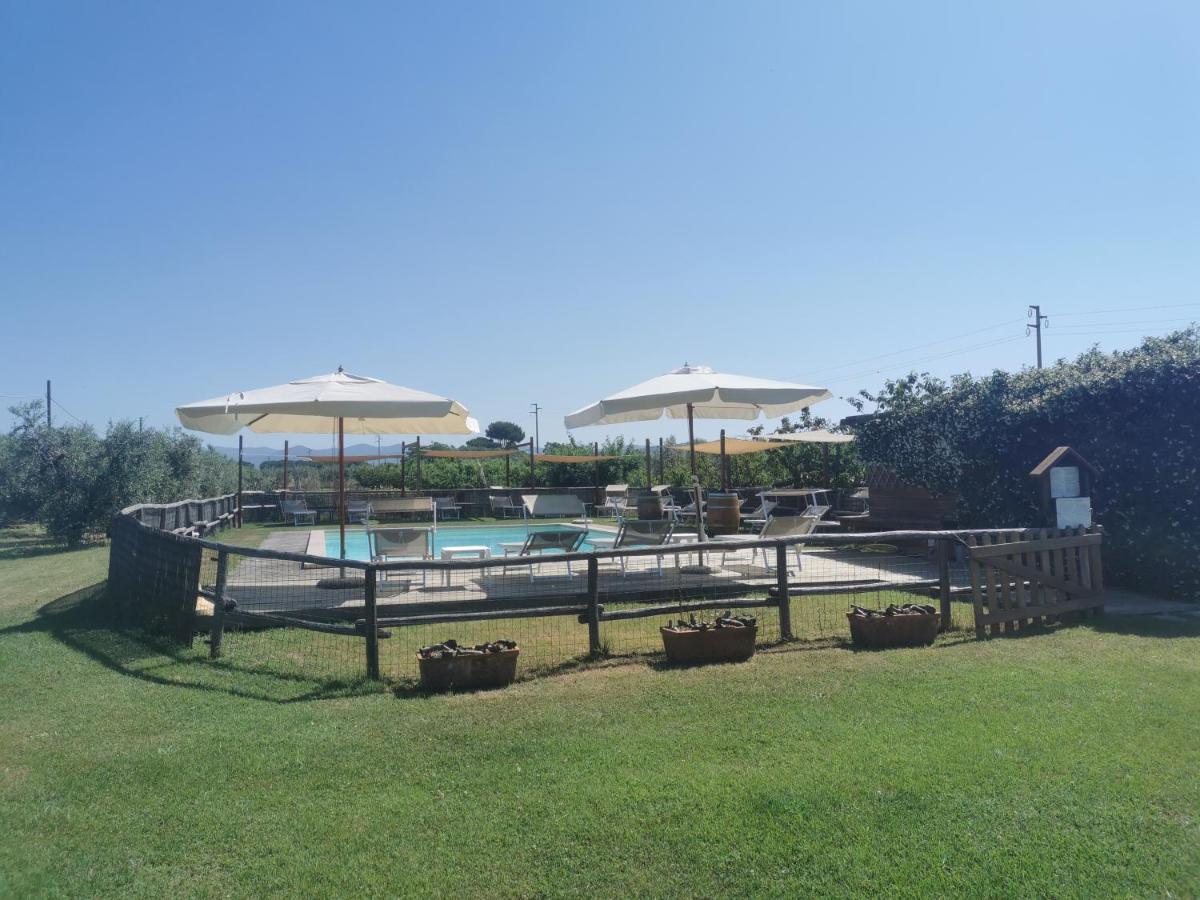 Podere Serena カスタニェート・カルドゥッチ エクステリア 写真