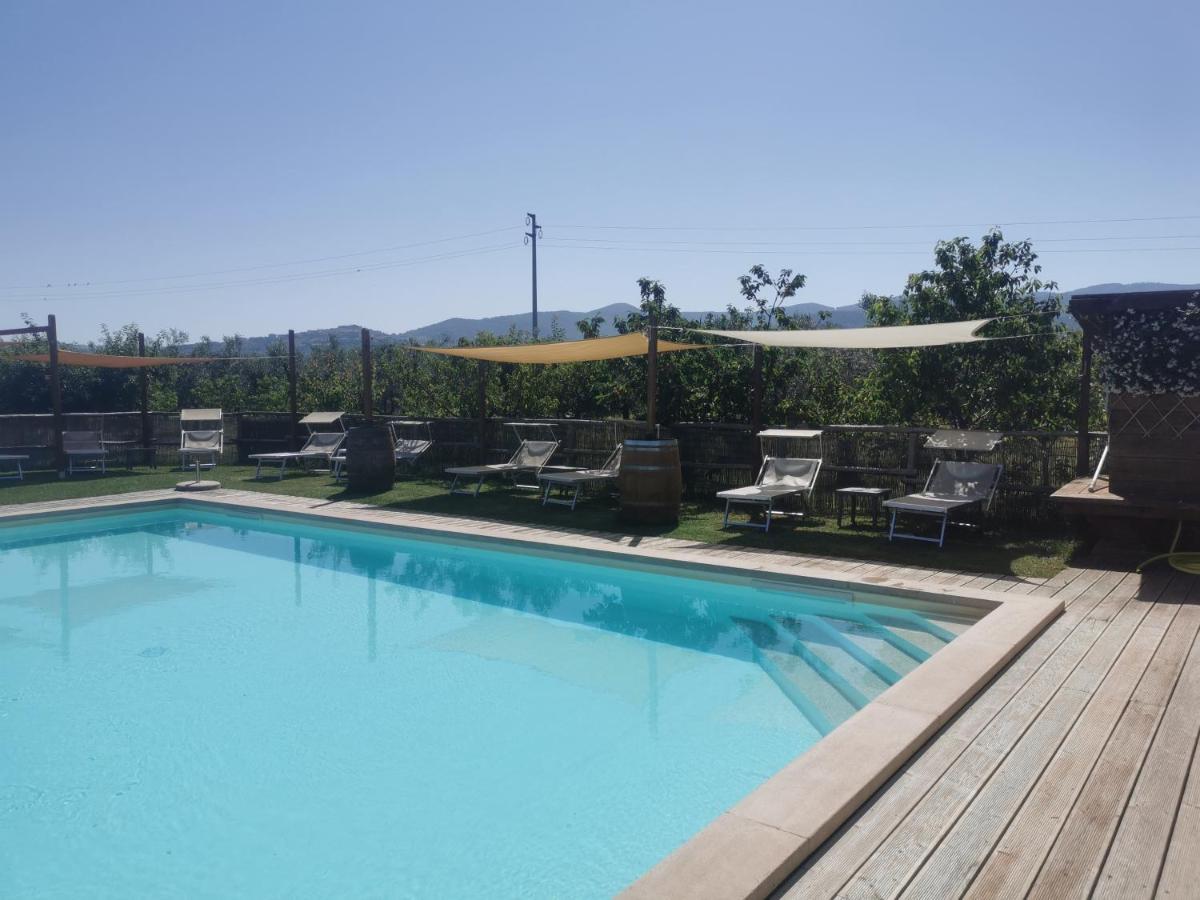 Podere Serena カスタニェート・カルドゥッチ エクステリア 写真