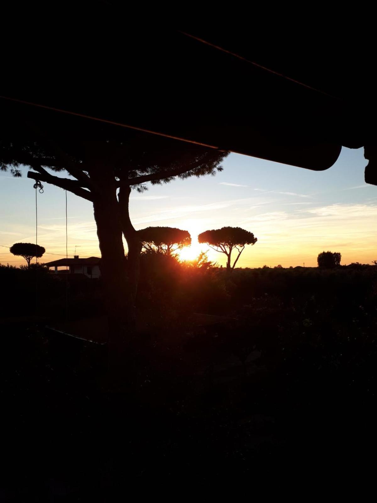 Podere Serena カスタニェート・カルドゥッチ エクステリア 写真