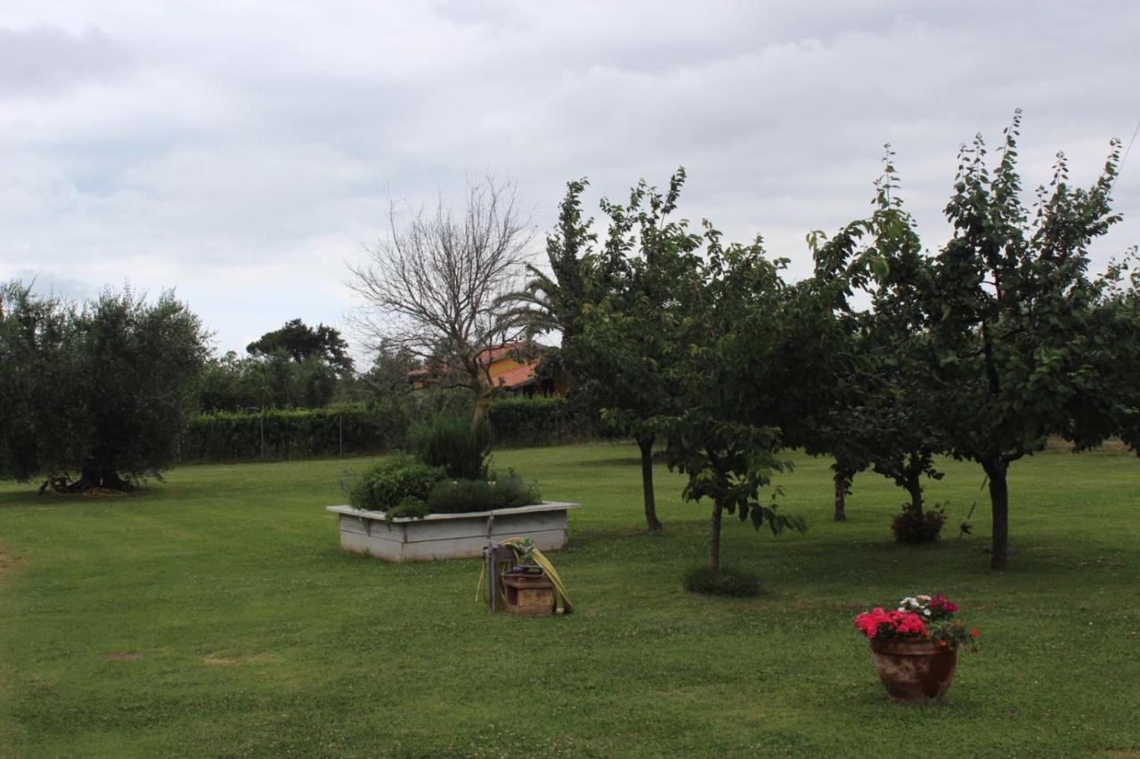 Podere Serena カスタニェート・カルドゥッチ エクステリア 写真